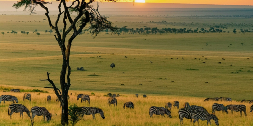 Sul da África