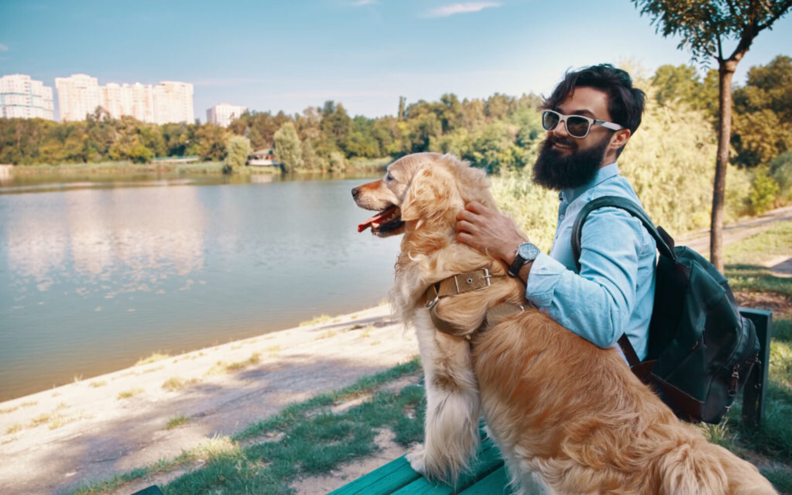 Young man sitting with his dog on the chair in the park