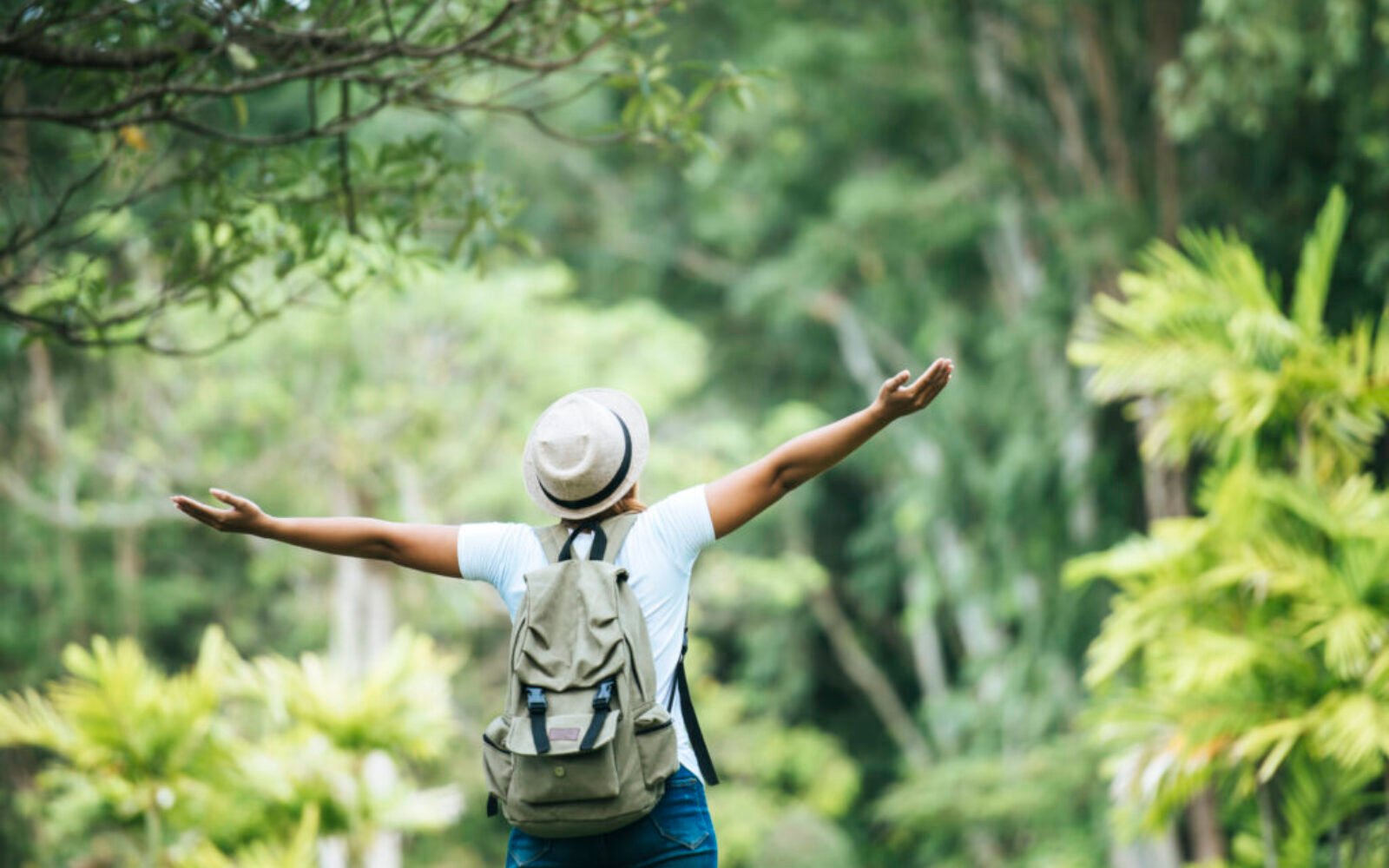 Viagens Sustentáveis