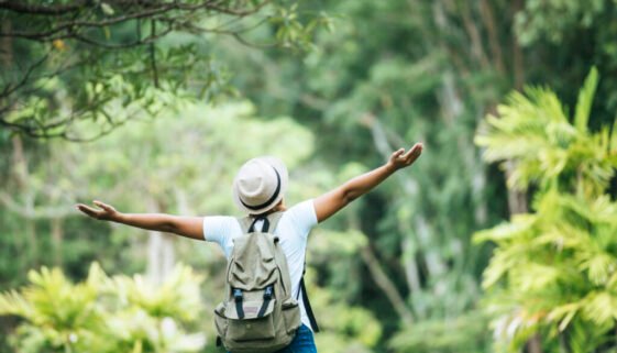 Viagens Sustentáveis